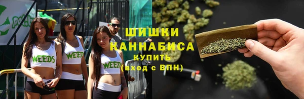 не бодяженный Тобольск
