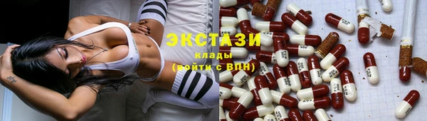 ECSTASY Богородицк