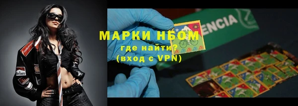 ECSTASY Богородицк