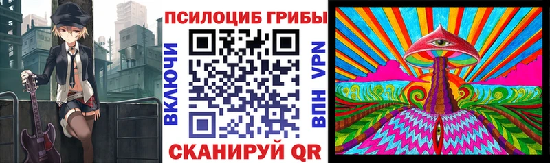 omg tor где продают наркотики Коломна Псилоцибиновые грибы MAGIC MUSHROOMS